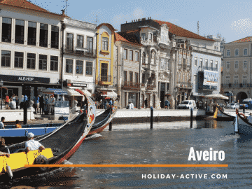Os moliceiros deslizam sobre a Ria, agora não á procura do moliço mas sim do turista para lhe apresentar a história de Aveiro