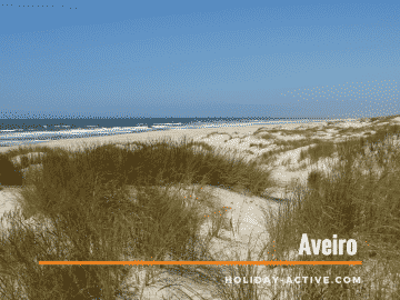 The beautiful white sand stretches of beach in Aveiro Portugal