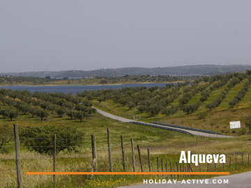 Alentejo with the Alquva lake in the Background