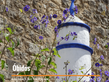 Pormenor da chaminé das casas de Óbidos Portugal em O que visitar em Óbidos