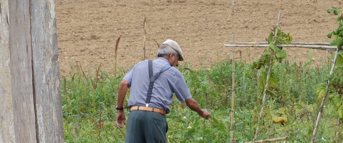 Agriculture in Portugal