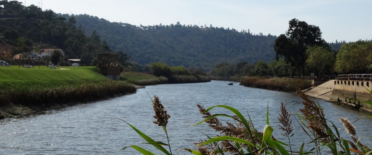 Mira River in Odemira