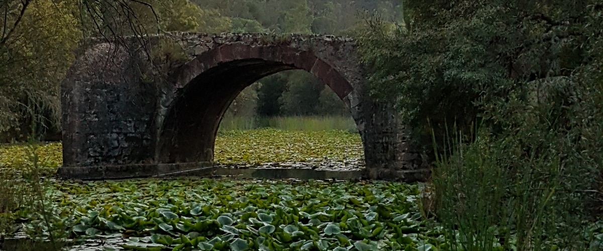 D. Maria Bridge near Santa Clara Dam