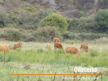 Odeceixe in the Alentejo Portugal